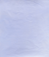 https://mail.maijaluutonen.com:443/files/gimgs/th-34_Luutonen, Something in Retrograde, 2015.jpg